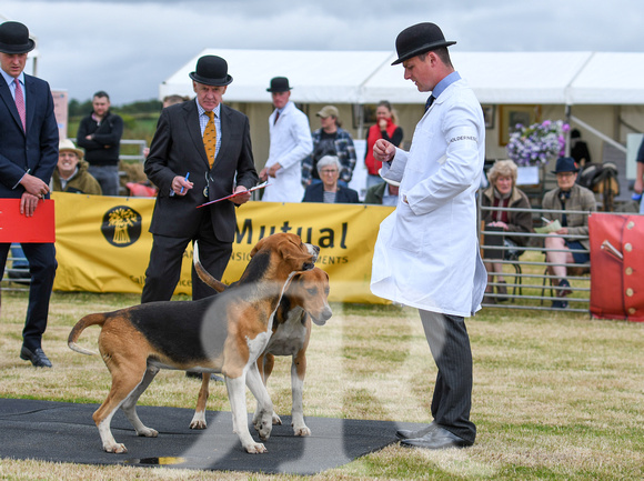 Blaston Hound Show 2024 032