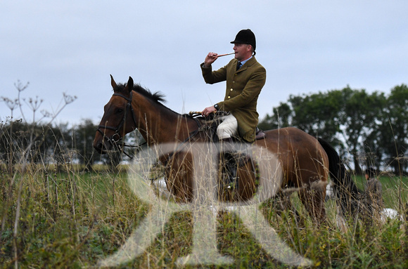 Fernie Autumn Hound Training at Hill Farm Gumley and Goffe Cave Farm Hallaton 2024 023