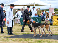 Blaston Hound Show 2024 026