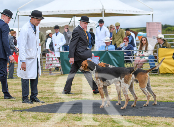 Blaston Hound Show 2024 026