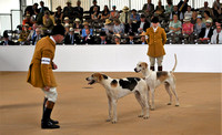 Peterborough Festival of Hunting 2022 024