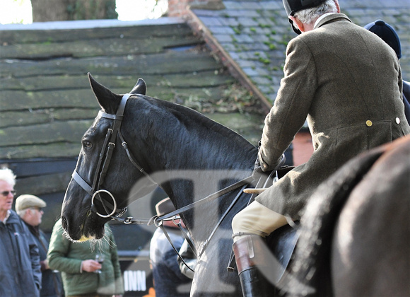 Fernie at Fox , Hallaton 2019 010