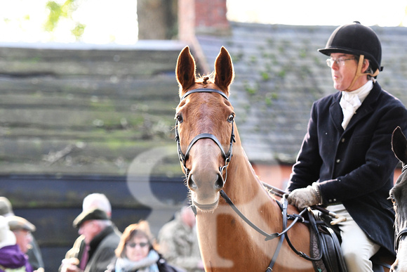 Fernie at Fox , Hallaton 2019 005