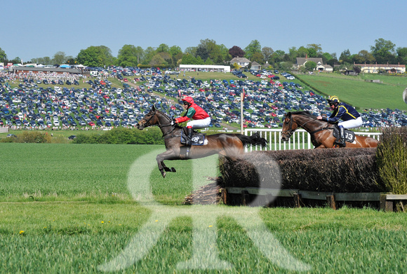 Fernie point to point at Dingley 2018 134