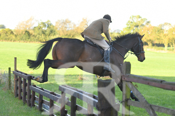 Fernie Hound Training at Shangton Holt 2023 029