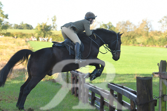 Fernie Hound Training at Shangton Holt 2023 030