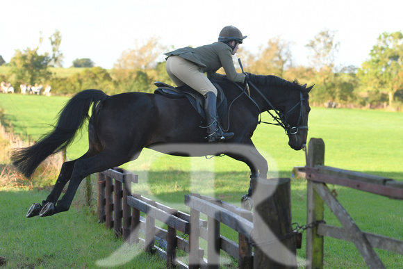 Fernie Hound Training at Shangton Holt 2023 031