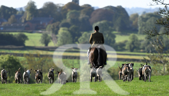 Fernie Hound Training at Shangton Holt 2023 198