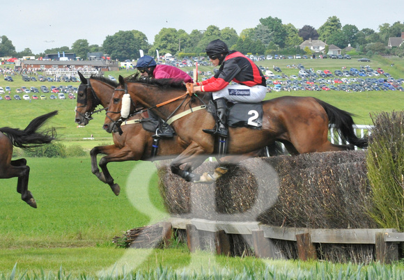 Woodland Pytchley Point to Point 2018 026