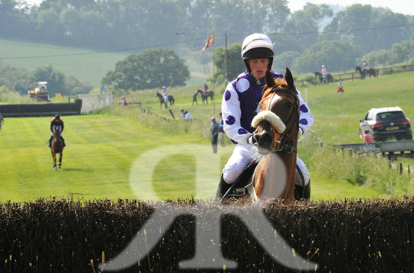 Woodland Pytchley Point to Point 2018 051