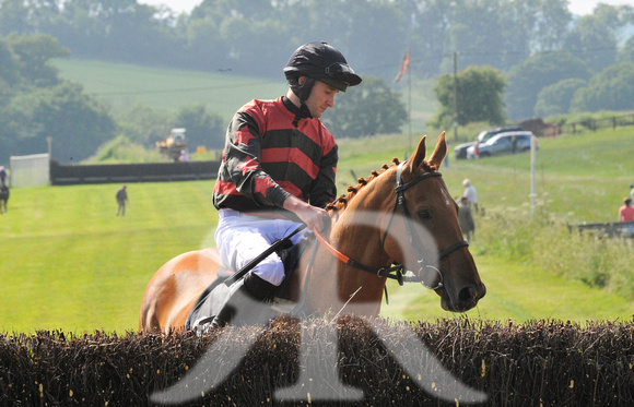 Woodland Pytchley Point to Point 2018 053