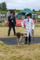 Blaston Hound show Winners & Young Handlers 2024 164