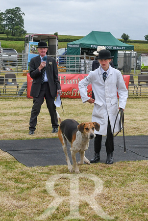 Blaston Hound show Winners & Young Handlers 2024 164