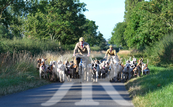 Fernie Hound Exercise 2024 035