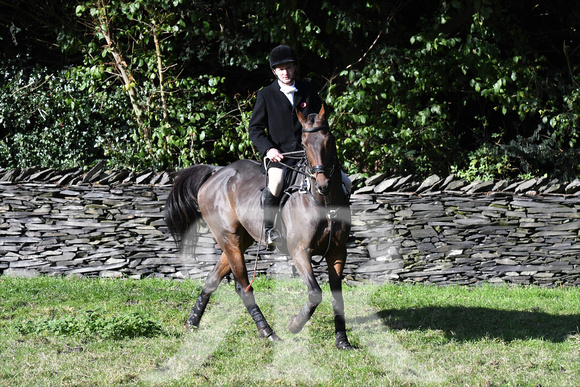 Quorn at Woodhouse Eaves opening meet 2019 041