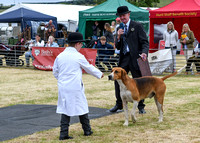 Blaston Hound show Winners & Young Handlers 2024 174