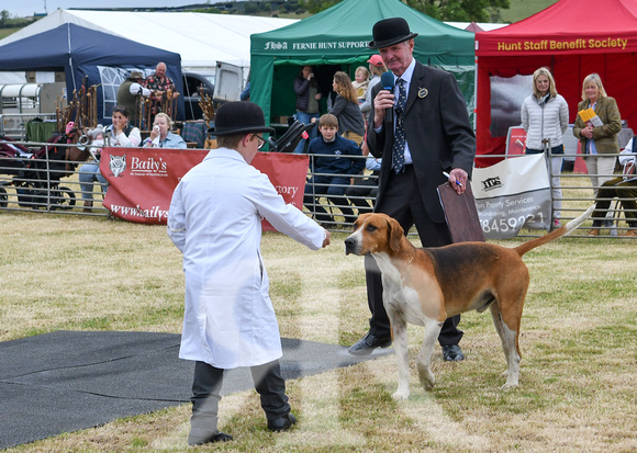 Blaston Hound show Winners & Young Handlers 2024 174