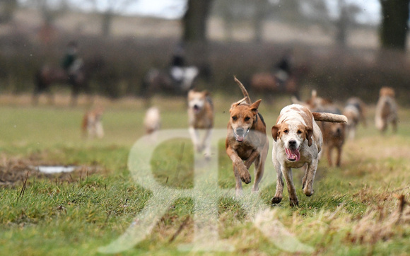 Cambridge Drag Hounds at Mill Farm Marston Trussell 2022 438