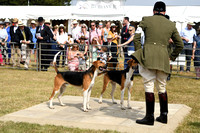 Peterborough Festival of Hunting 2022 037