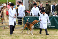 Blaston Hound show Winners & Young Handlers 2024 173