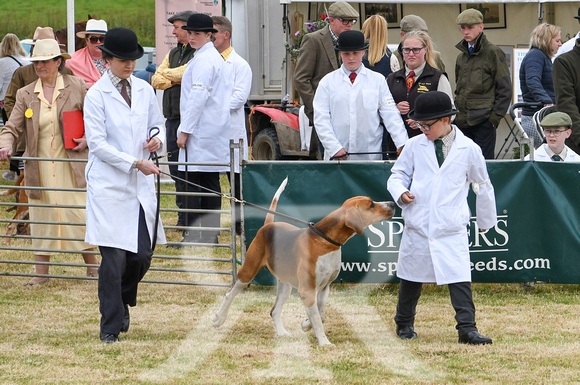 Blaston Hound show Winners & Young Handlers 2024 173