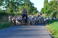 Fernie Hound Exercise 2024 051