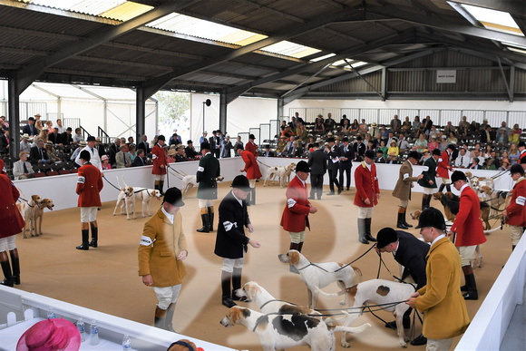 Peterborough Festival of Hunting 2022 029