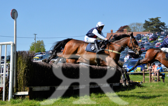 THe Fernie Hunt Point to Point at Dingley 2018 380