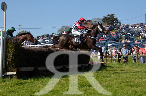THe Fernie Hunt Point to Point at Dingley 2018 484