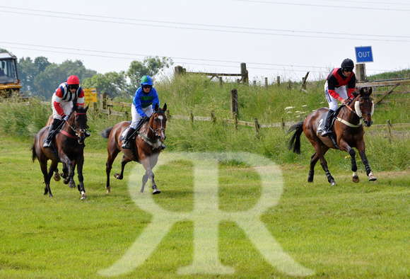 The woodland Pytchley Point to Point 2018 088