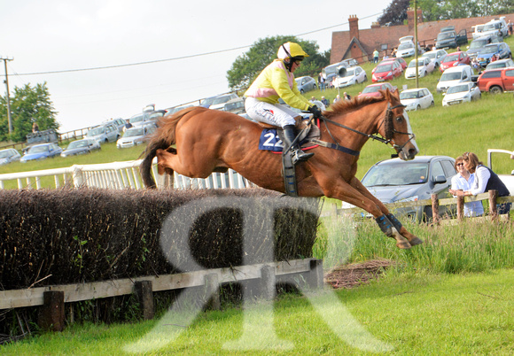 The woodland Pytchley Point to Point 2018 249