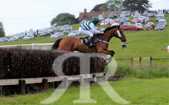 The woodland Pytchley Point to Point 2018 411