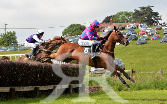 The woodland Pytchley Point to Point 2018 175