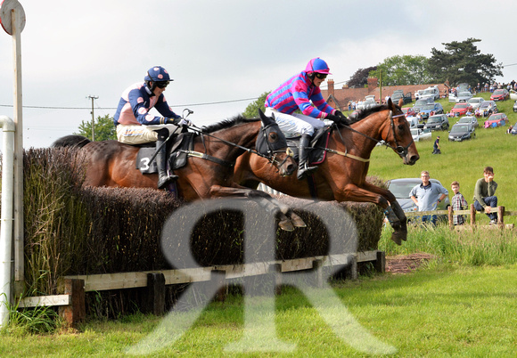 The woodland Pytchley Point to Point 2018 185