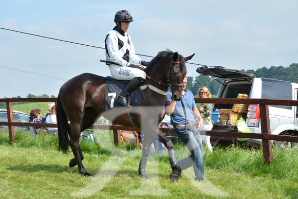 The woodland Pytchley Point to Point 2018 152
