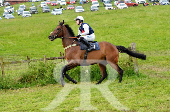 The woodland Pytchley Point to Point 2018 365