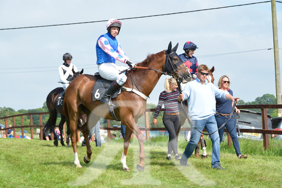 The woodland Pytchley Point to Point 2018 150