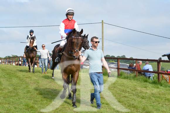 The woodland Pytchley Point to Point 2018 218
