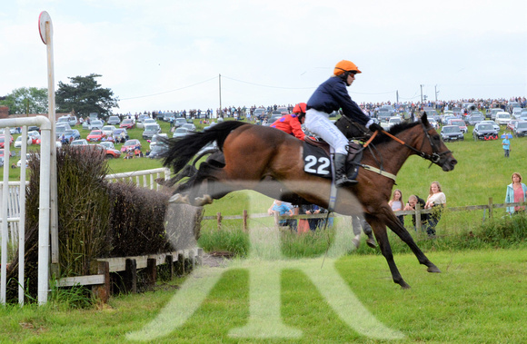 The woodland Pytchley Point to Point 2018 400
