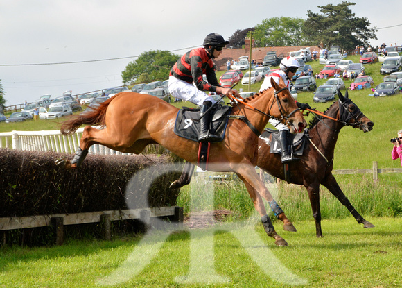 The woodland Pytchley Point to Point 2018 179