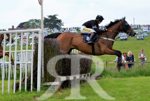The woodland Pytchley Point to Point 2018 390
