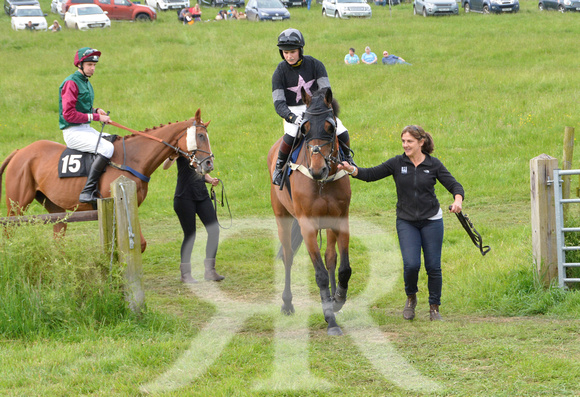 The woodland Pytchley Point to Point 2018 362