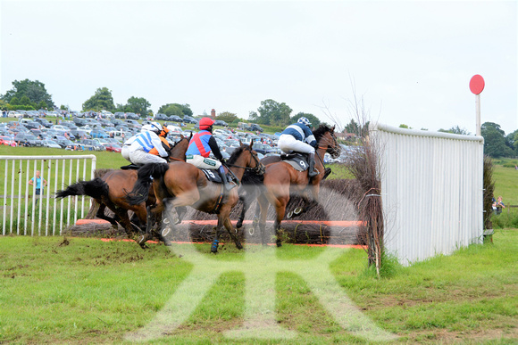 The woodland Pytchley Point to Point 2018 294