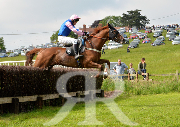 The woodland Pytchley Point to Point 2018 189