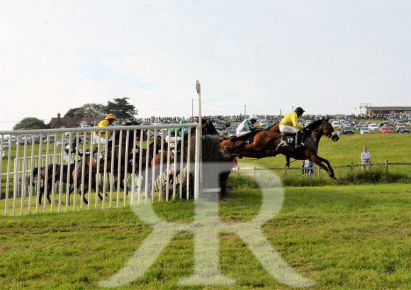 The woodland Pytchley Point to Point 2018 474