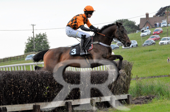 The woodland Pytchley Point to Point 2018 527