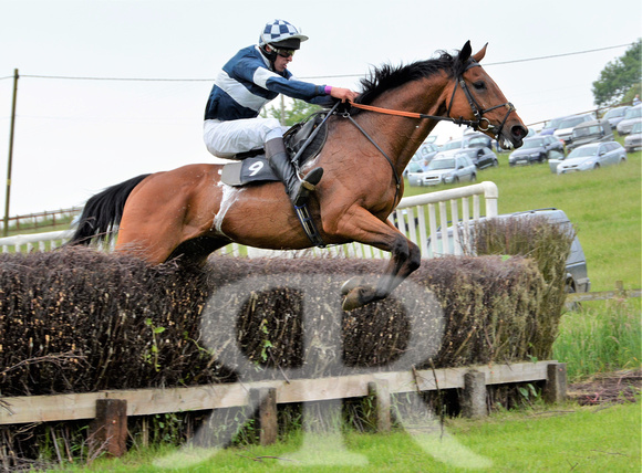 The woodland Pytchley Point to Point 2018 316