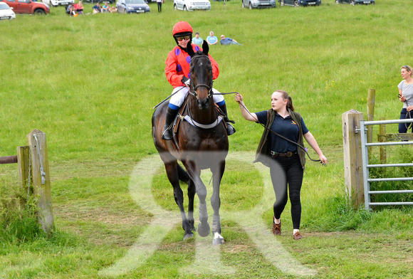 The woodland Pytchley Point to Point 2018 366