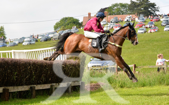 The woodland Pytchley Point to Point 2018 101