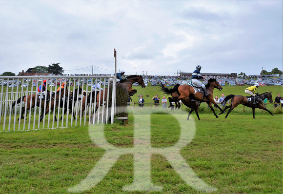The woodland Pytchley Point to Point 2018 305